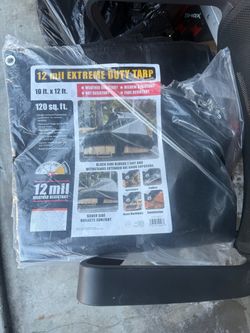 Tarp new $15