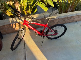 Adult Bike