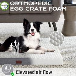 Ophanie Foam Dog Bed
