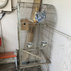 Bird Cage 