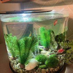 Fish Tank - Bio Orb 