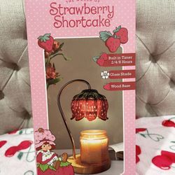 Strawberry Shortcake Candle Warmer
