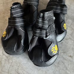 Dog Boots Size 7