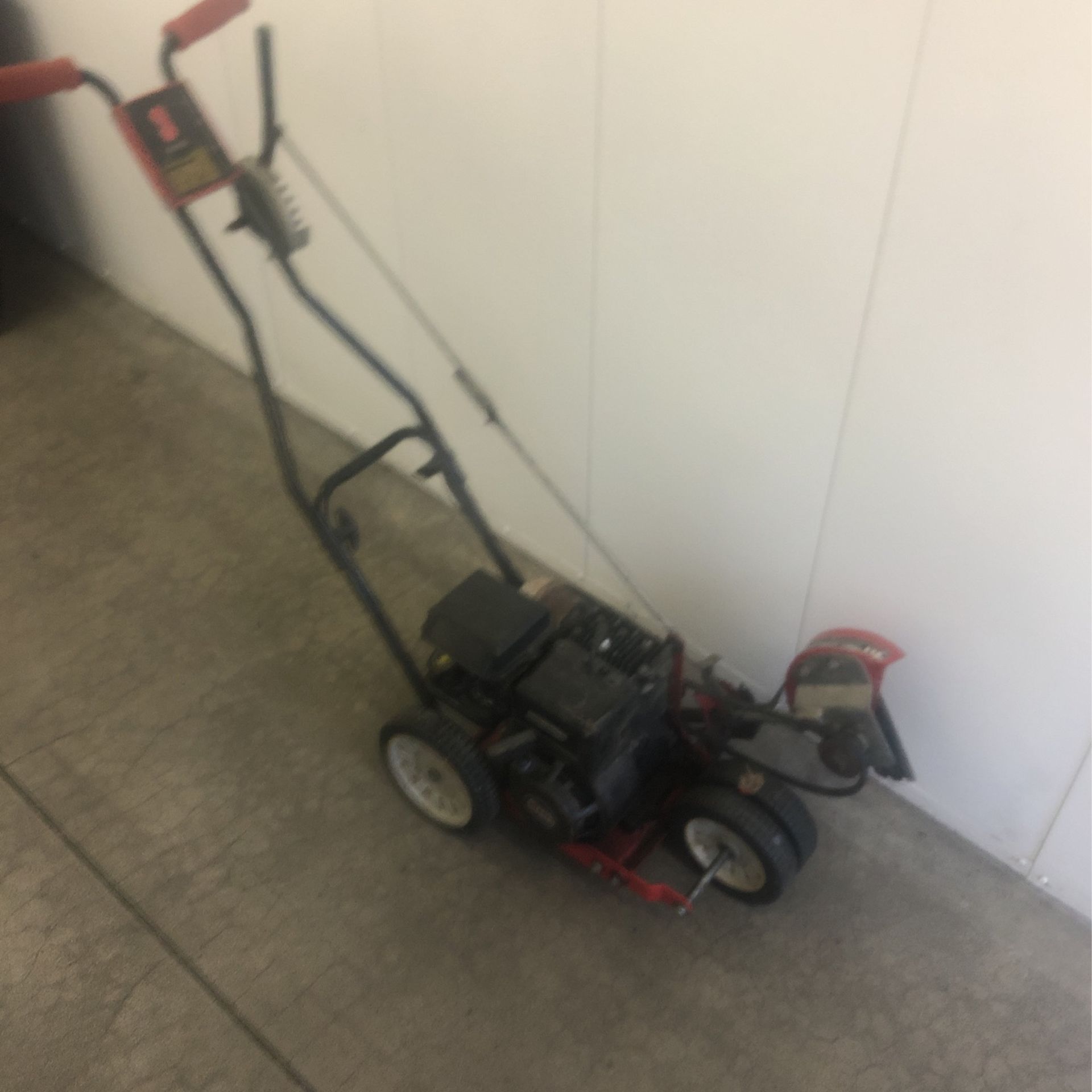 Briggs & Statton Edger $120