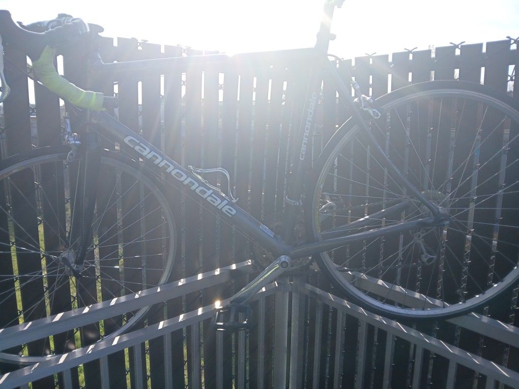 Carbon Fiber Cannondale 2006 Classic For Sale