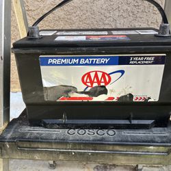AAA Car Battery 