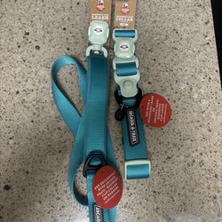 Arcadia Trail Magnetic Leash & Collar