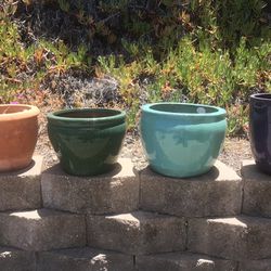 Garden Plant Pots-$25 Each