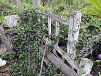 Free Reclaimed Wood / Garden Wood (Posts, Fence Pieces, Scrap)