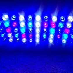 Coral Compulsion Reef LED Light