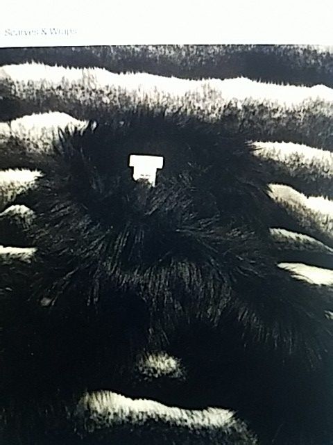 J CREW FAUX SCARF / STOLE (NWT)