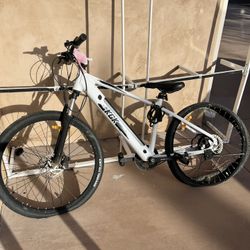Electric Mountain Bike