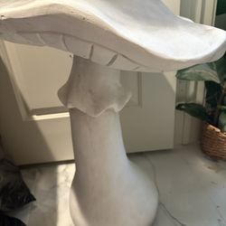 Garden Mushrooms