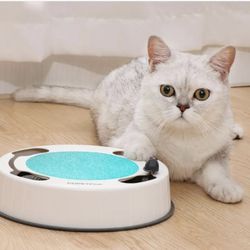 Cat Toy Chasing Mouse Toy