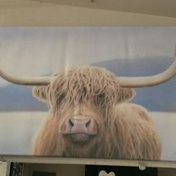 Highland Cow Frame