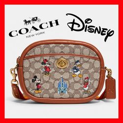 NWT Coach F73359 City Tote Disney Sleeping Beauty Signature Bag $350 for  Sale in San Francisco, CA - OfferUp