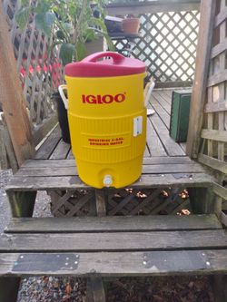 Igloo drinker cooler