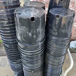 3 Gallon and 5 Gallon Plant Pots Planting - Lowest Price Anywhere!
