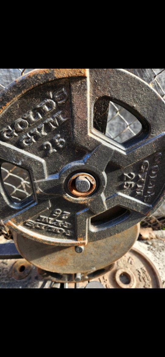 25lb Gym Weights Bench Press Plates $20 Each