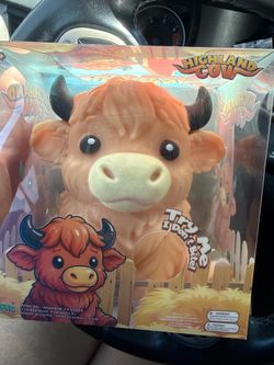 Squishy highland cow