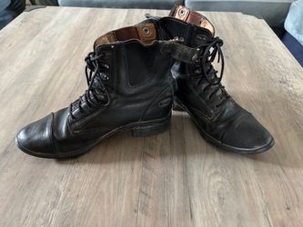 Paddock boots 9 Ariat