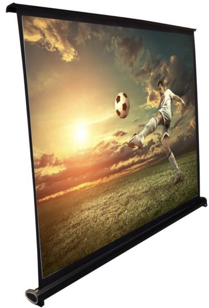 Projector Screen (brand new)