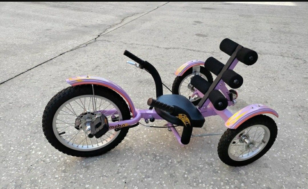 TRIKE RECUMBENT BIKE