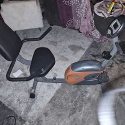 The Marcy ® ME 709 Recumbent MAG Bike 