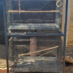 Bird Cages