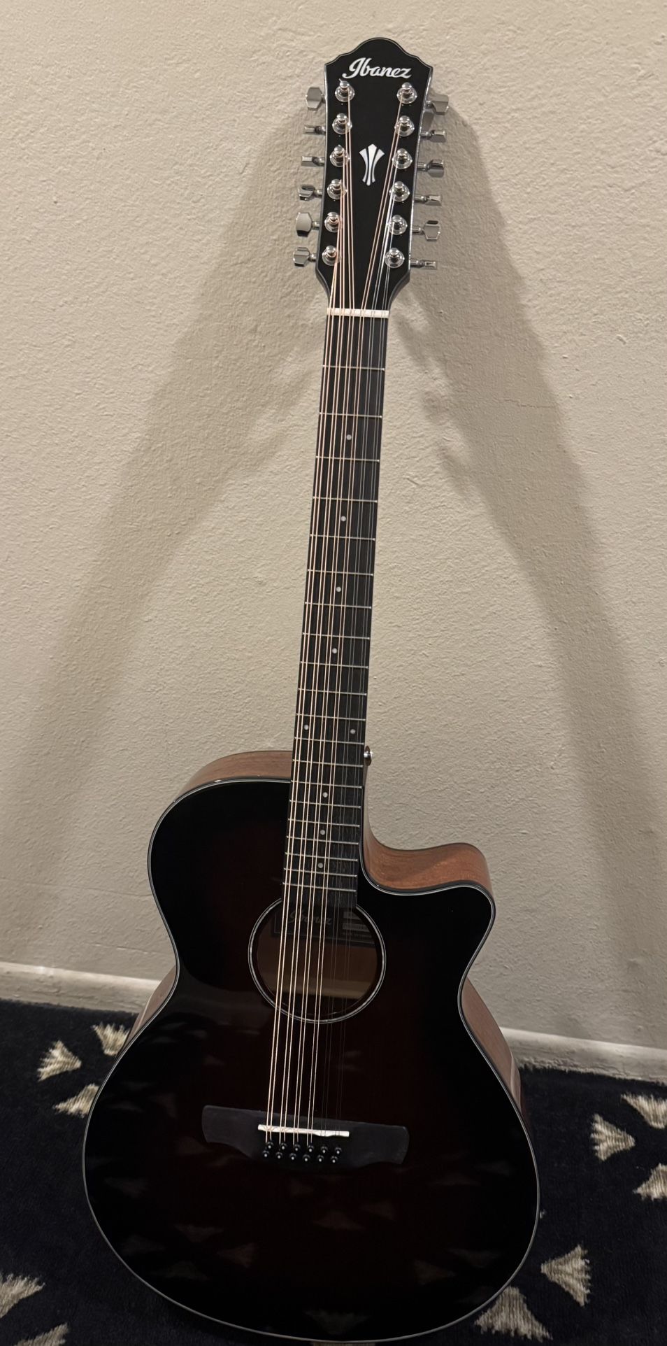 iBanez 12 string Acoustic Guitar