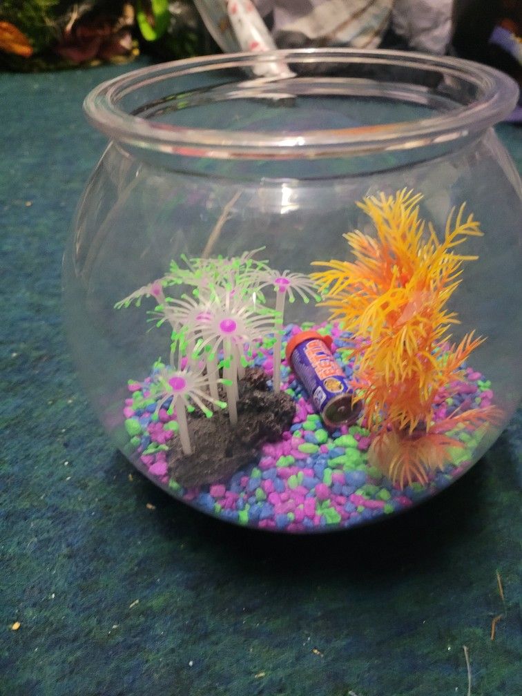 Fish Bowl Set