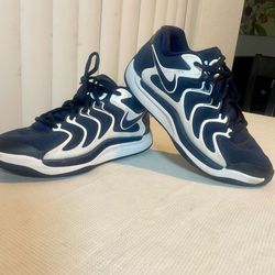 Nike Low-Top Sneakers Navy Blue and White