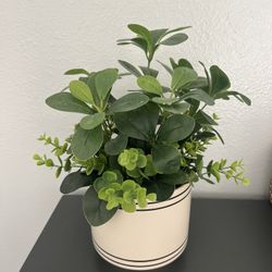Faux Table Plant 