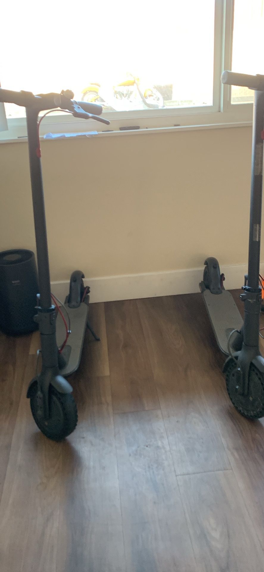 M365 Scooters