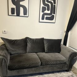 Plush Dark Gray Couch & Loveseat Set.