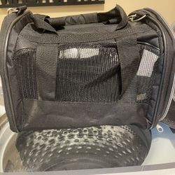 Small pet carrying bag with handle and shoulder straps