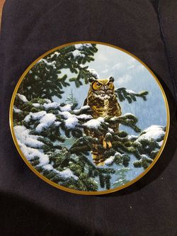 The Hamilton Collection/Spode Fine Bone China made in England Limited Edition Numbered Plate Winter Vigil from Noble Owls of America by Seerey Lester