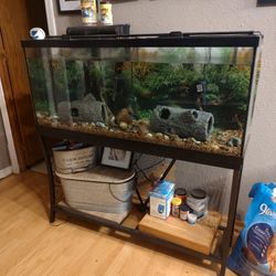 55 Gallon Fish Tank With Stand