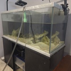 Salt Water Tank Comes With Sump 