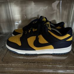 2021 Michigan Dunks