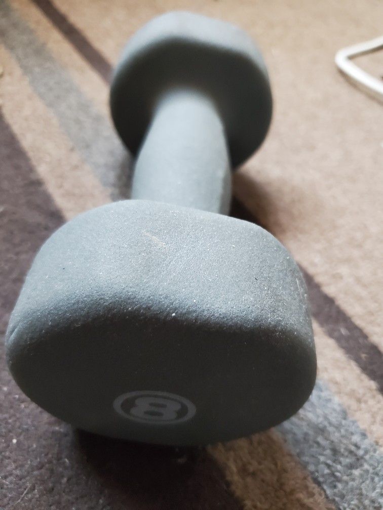 set of two 8 lb dumbbells