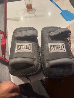 Everlast Boxing Punch Mitts Pair