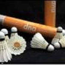 Badminton Shuttle and Birdies 