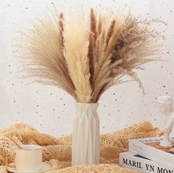 Pampas Grass all 3 bundles for $10
