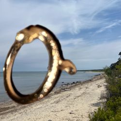 Jake The Snake Gold Rings 4 Set Steal