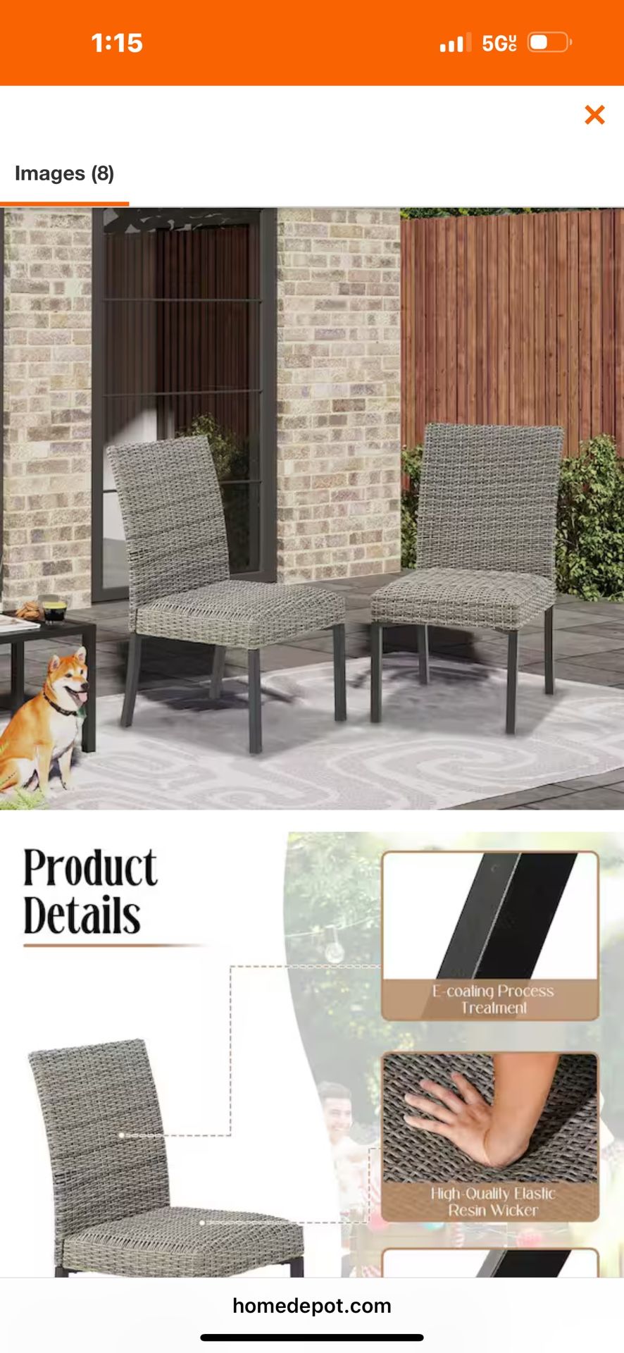 Steel Padded Wicker Outdoor Dining Chair (2 Pack)