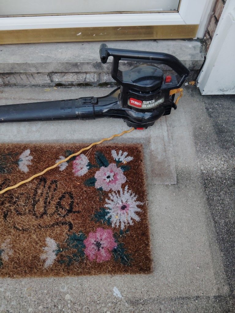 Toro Leaf Blower