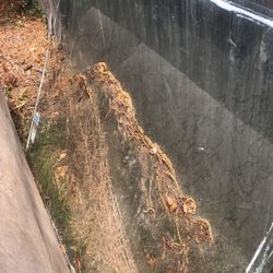 Free Glass Sheet. Maybe 48inche Wide 60ish Long. Free