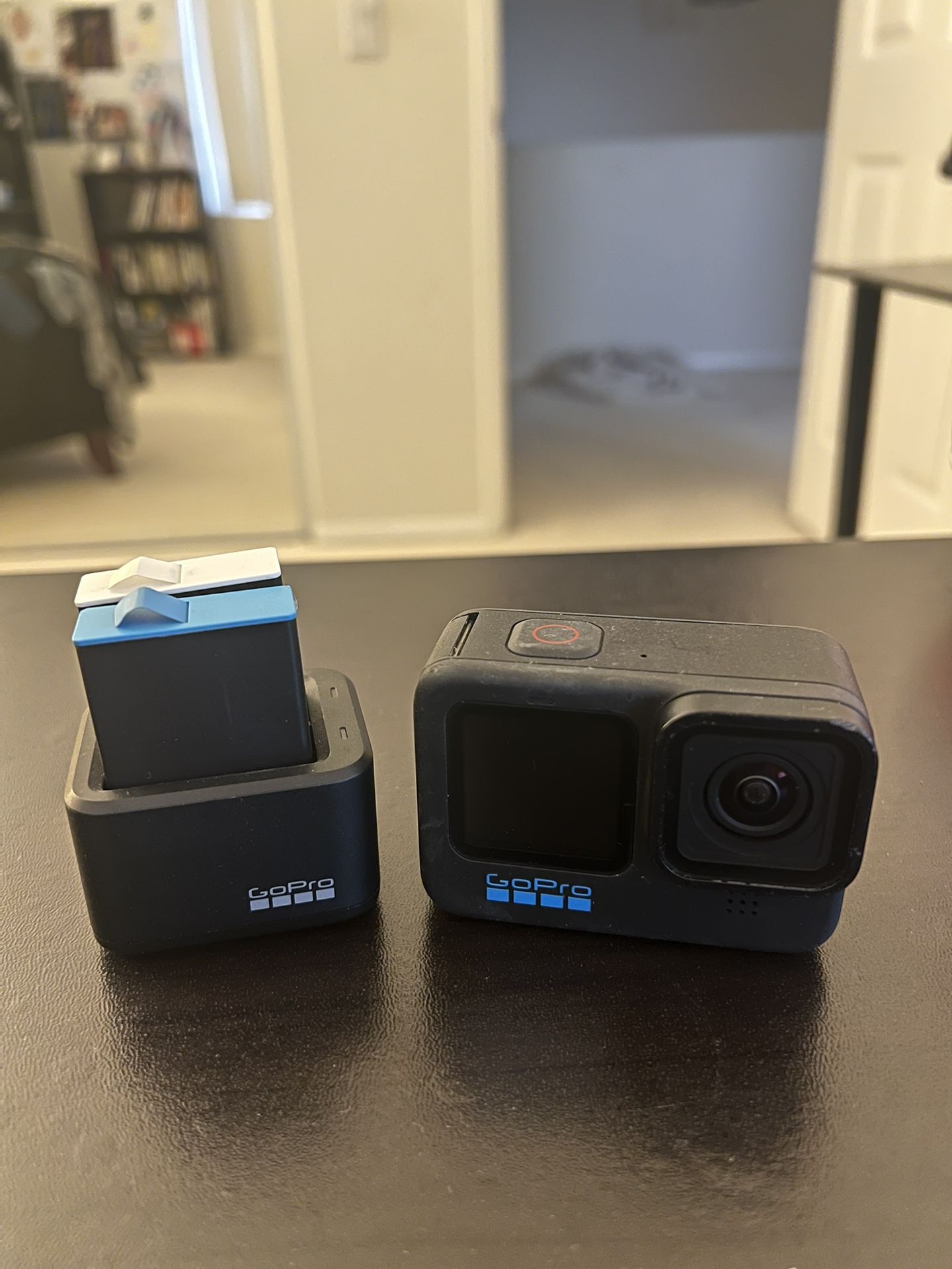 GoPro Hero 10 with Dual Battery Charger and Enduro Batteries