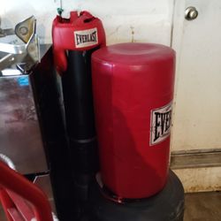 Everlast Punching Bag